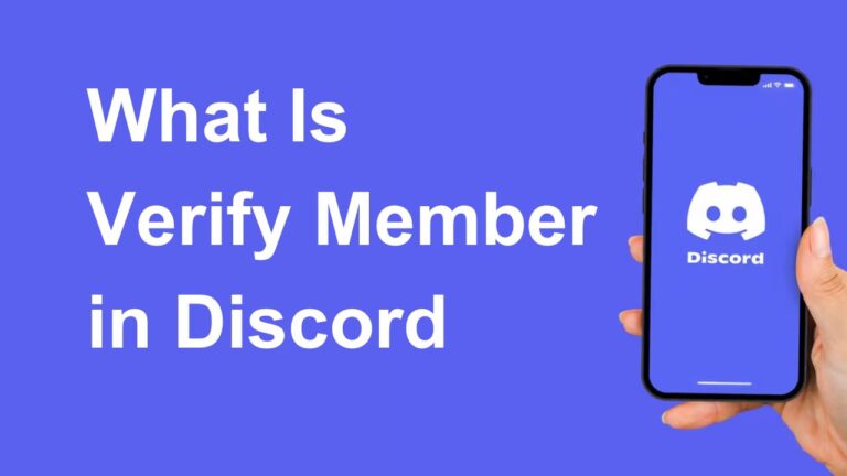Verify Member in Dicord